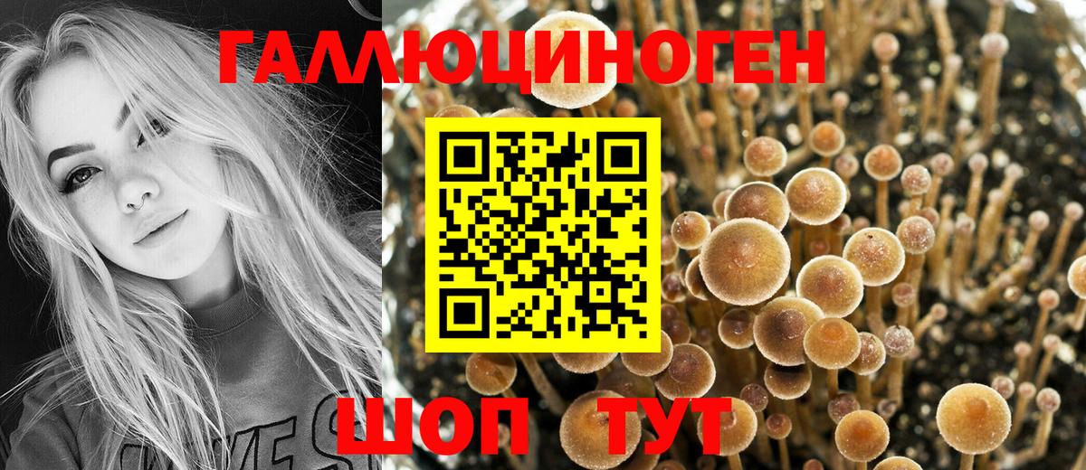 Галлюциногенные грибы прущие грибы Россия