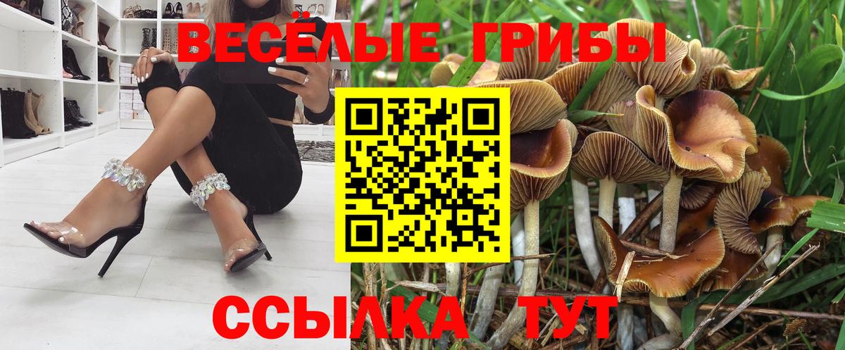 Псилоцибиновые грибы MAGIC MUSHROOMS  Псилоцибиновые грибы GOLDEN TEACHER  Россия  Вход с VPN 